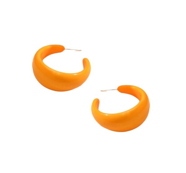 grote oorbellen, rond, oranje, sieraden, dames, leuk, mooi, vrouwen